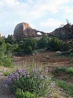 Arches NP (9).JPG